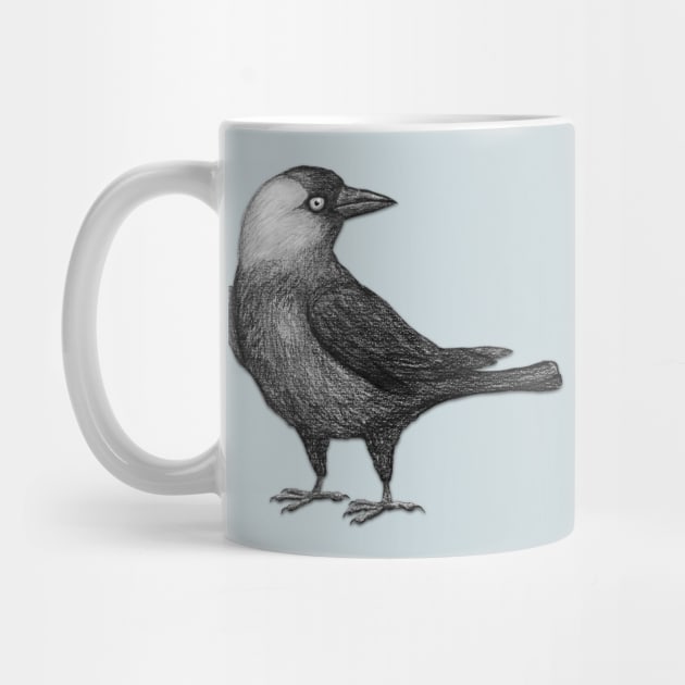 Western jackdaw by Bwiselizzy